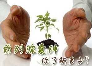 ǰ��������������