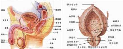 重庆曙光男科医院