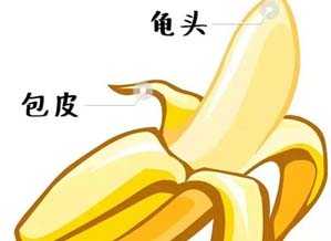 ��������п�ҽԺ
