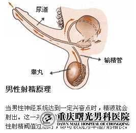 重庆曙光男科医院
